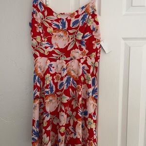 Charlotte Russe Dress
Size: M
Condition: Brand New